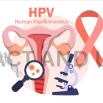 Human papillomavirus HPV