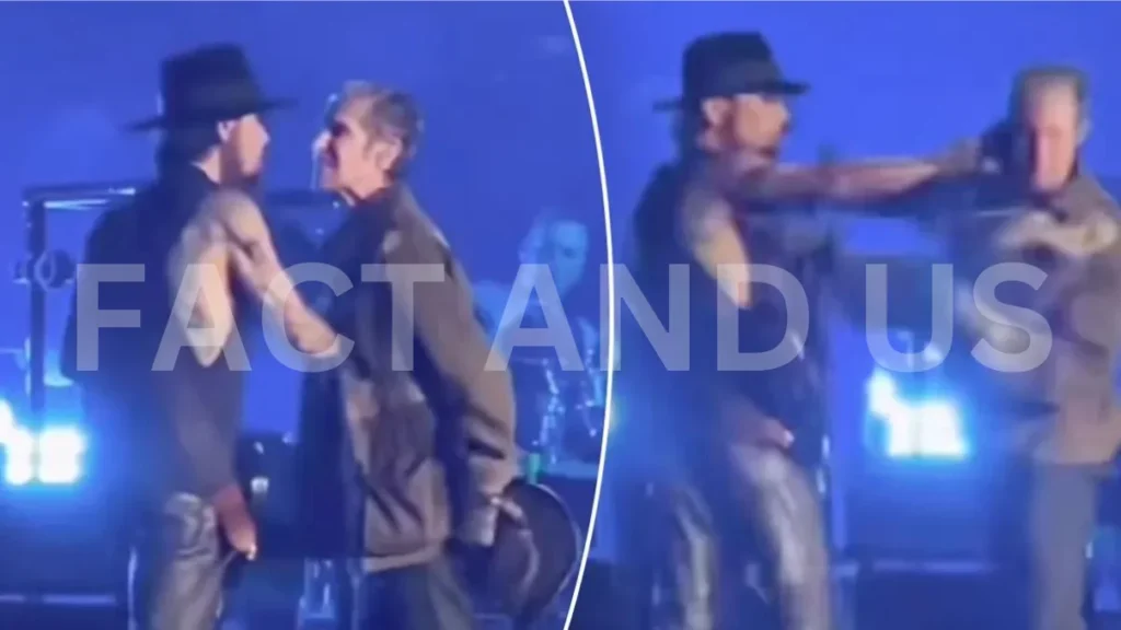 Jane's Addiction Cancels Tour After On-Stage Brawl