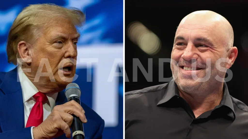 Joe Rogan's path to a once-improbable Trump interview